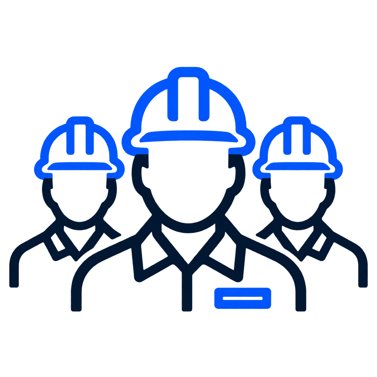 Experienced Team
